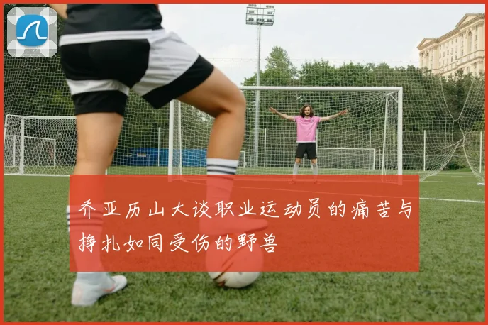 乔亚历山大谈职业运动员的痛苦与挣扎如同受伤的野兽