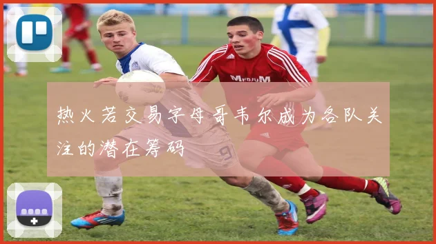 热火若交易字母哥韦尔成为各队关注的潜在筹码